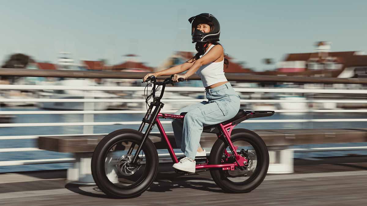 The Fat Tire Electric Bike Guide