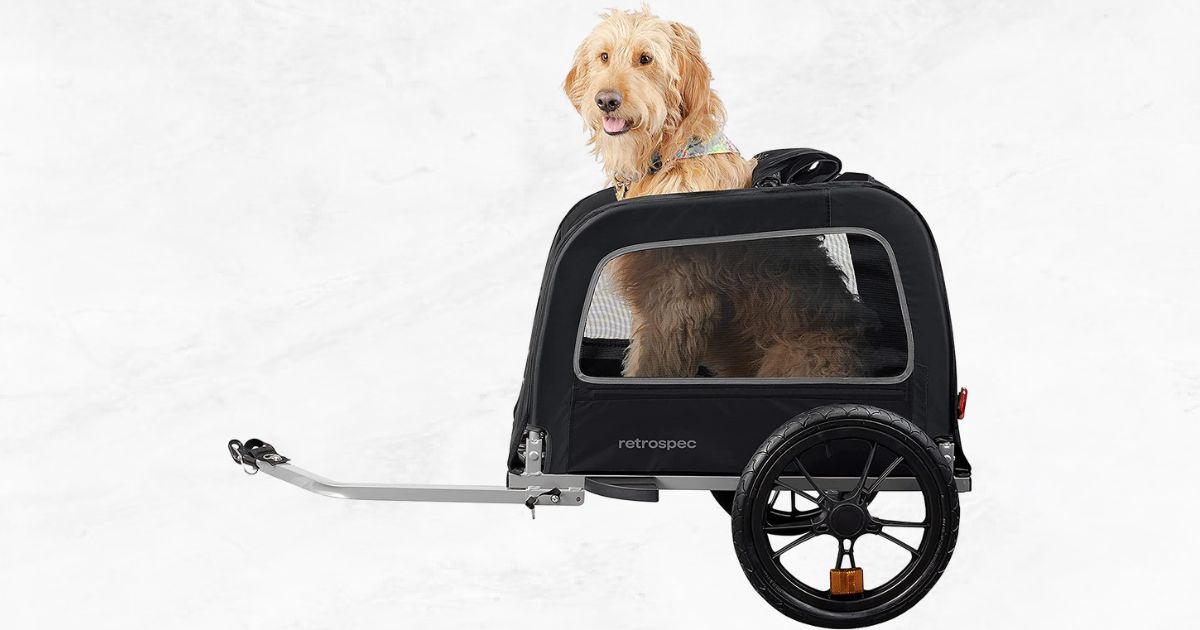 Best eBike Carriers for Pets: A Comprehensive eBike Carrier Buying Guide